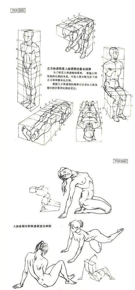 怎么学漫画人体姿势画法?人体姿势要素讲解