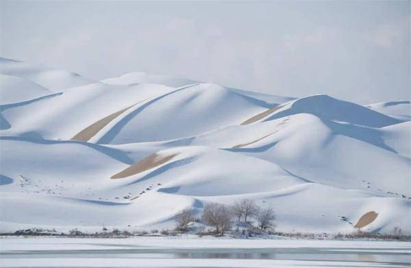 瀚海闌干百丈冰是真的太夢幻了塔克拉瑪干沙漠下雪了