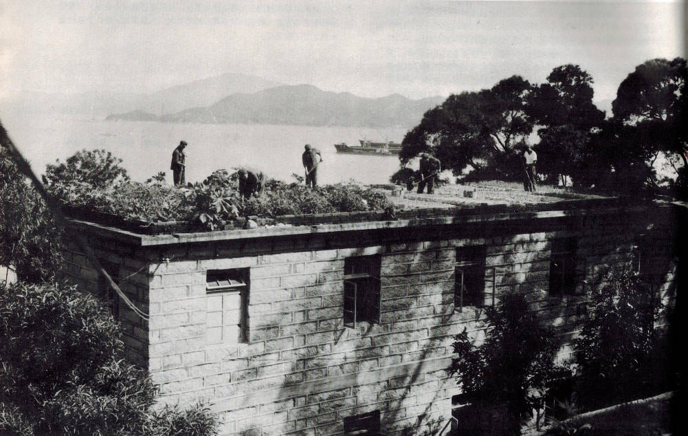 80年代的厦门老照片 鼓浪屿上好八连_人民_解放军_权和