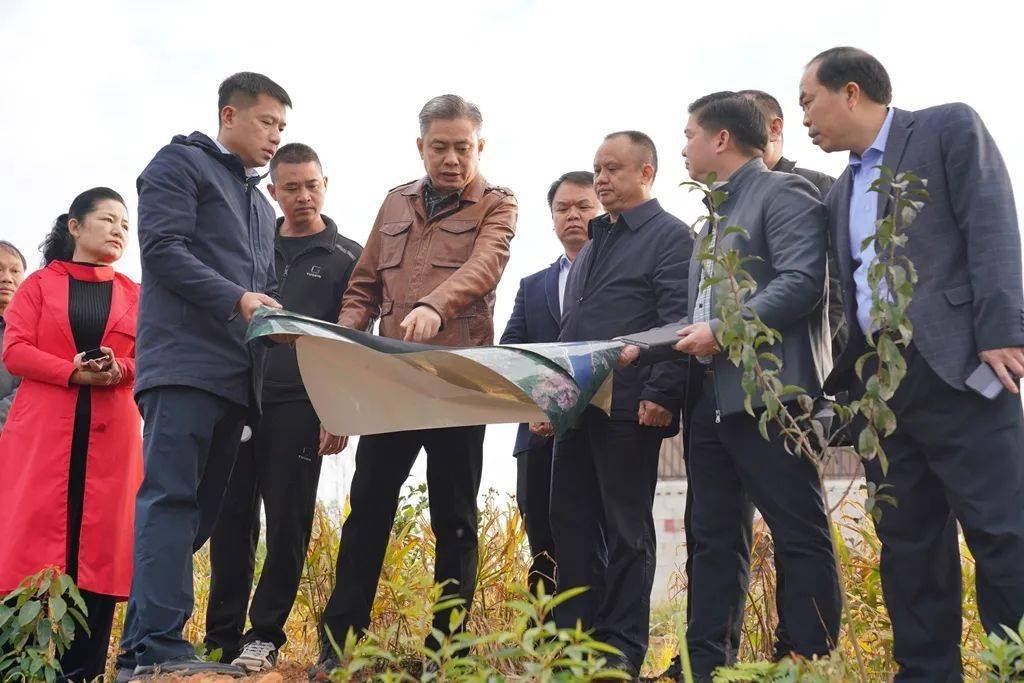 东兰县委书记徐迪克到隘洞镇调研时强调大力发展中草药产业加快项目