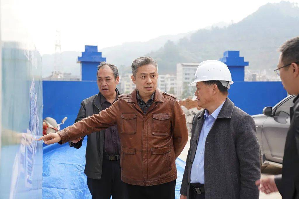 东兰县委书记徐迪克到隘洞镇调研时强调大力发展中草药产业加快项目