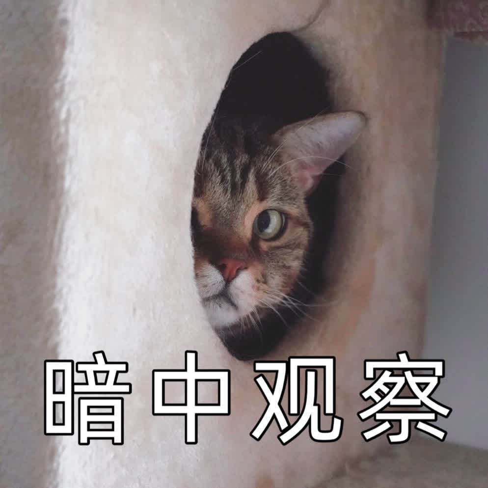 有的喵呀,猫猫祟祟只爱喝铲屎官杯子里的东西!