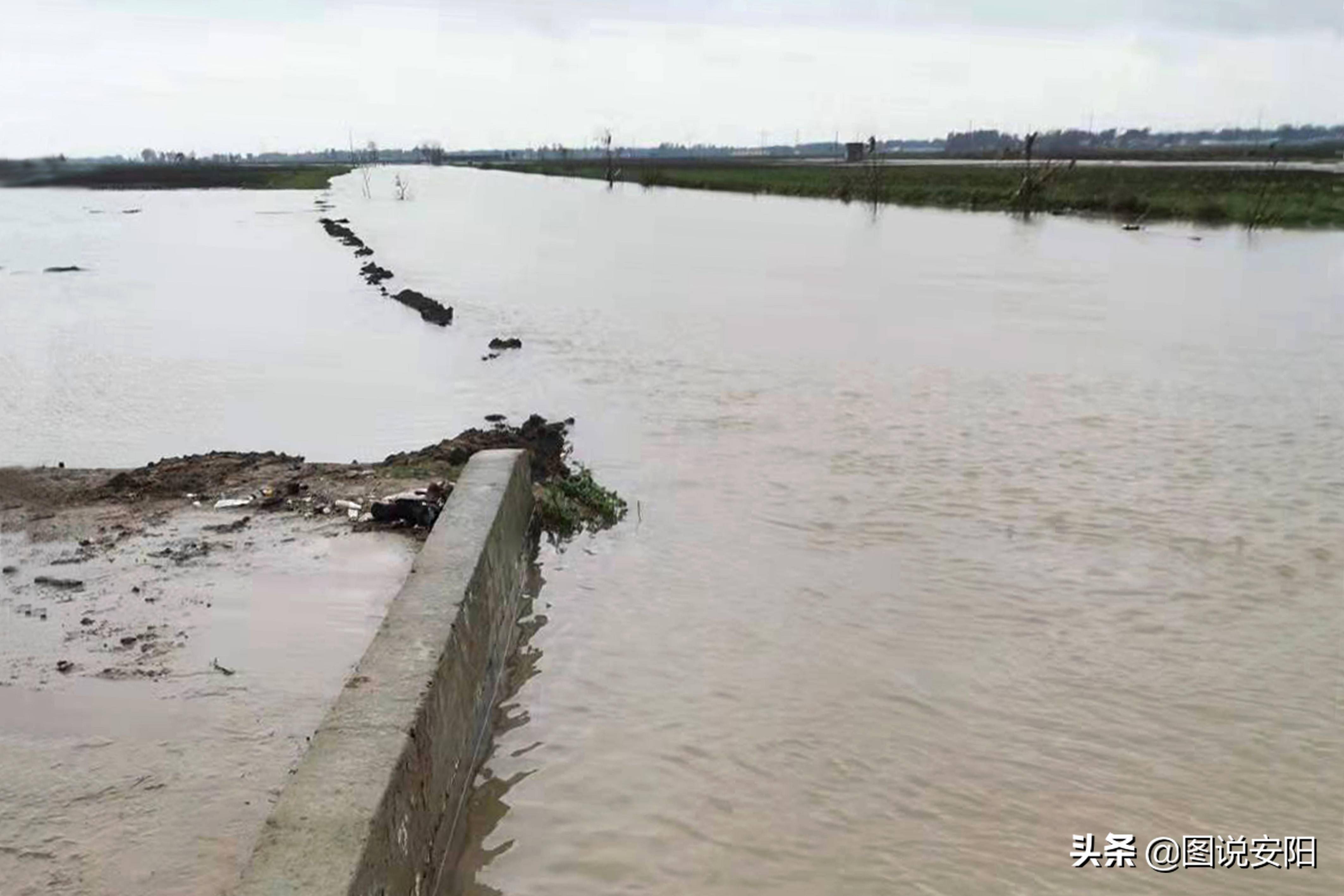 河南鹤壁洪水图片