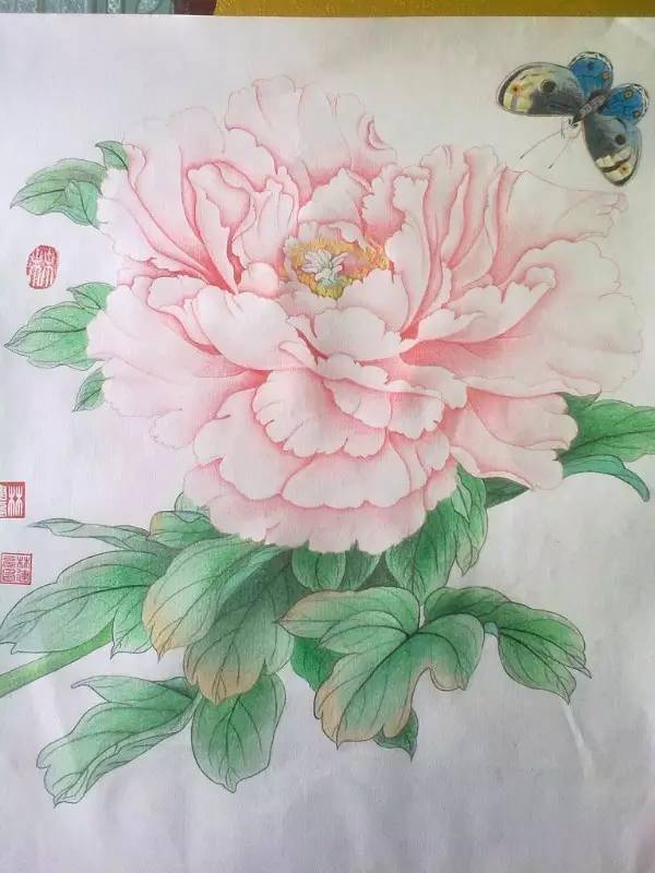 彩铅画入门教程花皇牡丹绘画步骤