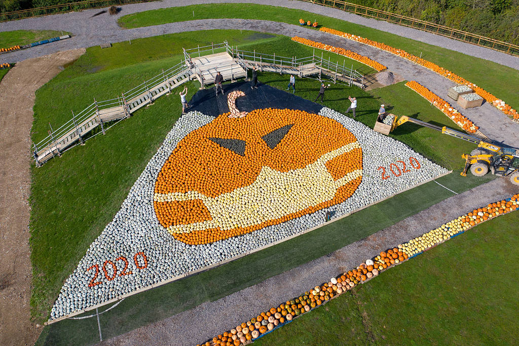 拼图新玩法!英国工人用5000南瓜拼出巨型"口罩南瓜"_时间_公众_娃娃