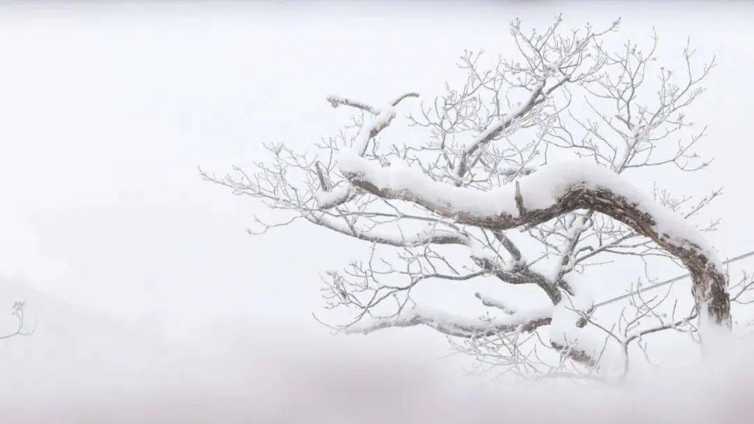 瓊苞碎_玉妃_春雪