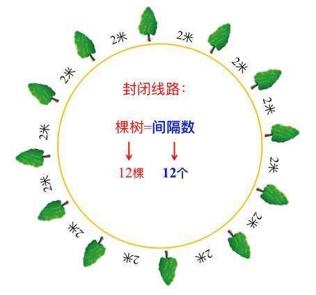 五年级数学:学习植树问题,间隔数是关键,分清四种情况轻松解题
