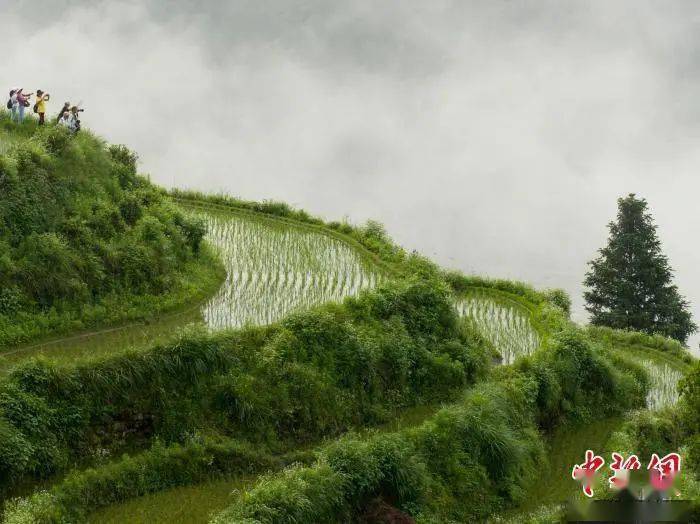 俩人|人这一生，都在为情绪买单