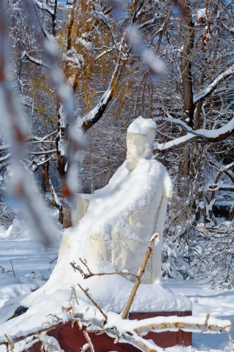 显得|【雪落象牙塔】银装素裹龙中医 执笔漫漫杏园情