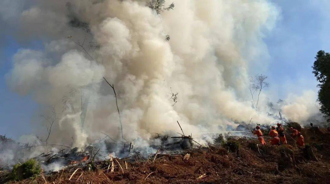 快到延平区森林防灭火联演联训现场看看_扑救_火灾_处置