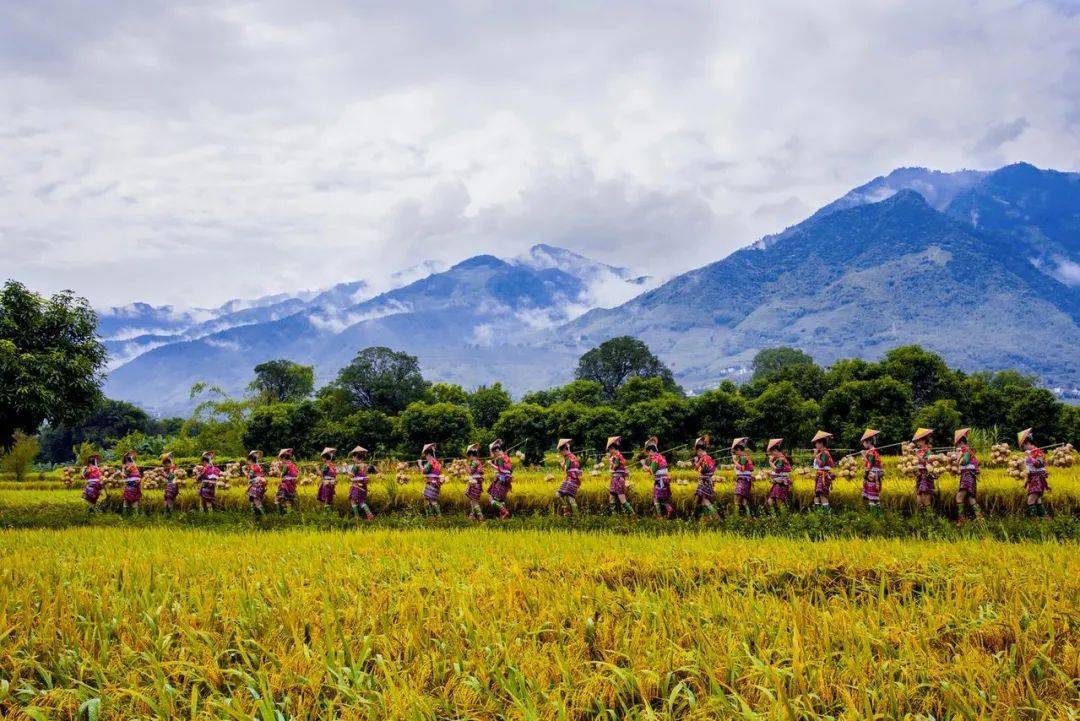 新闻|什么是哀牢山？｜草地·新闻地理