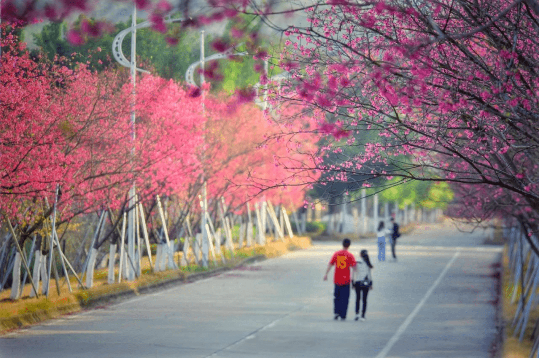 你好,韶關學院!