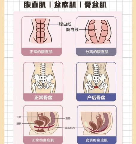 南华县中医医院盆底康复室开诊啦