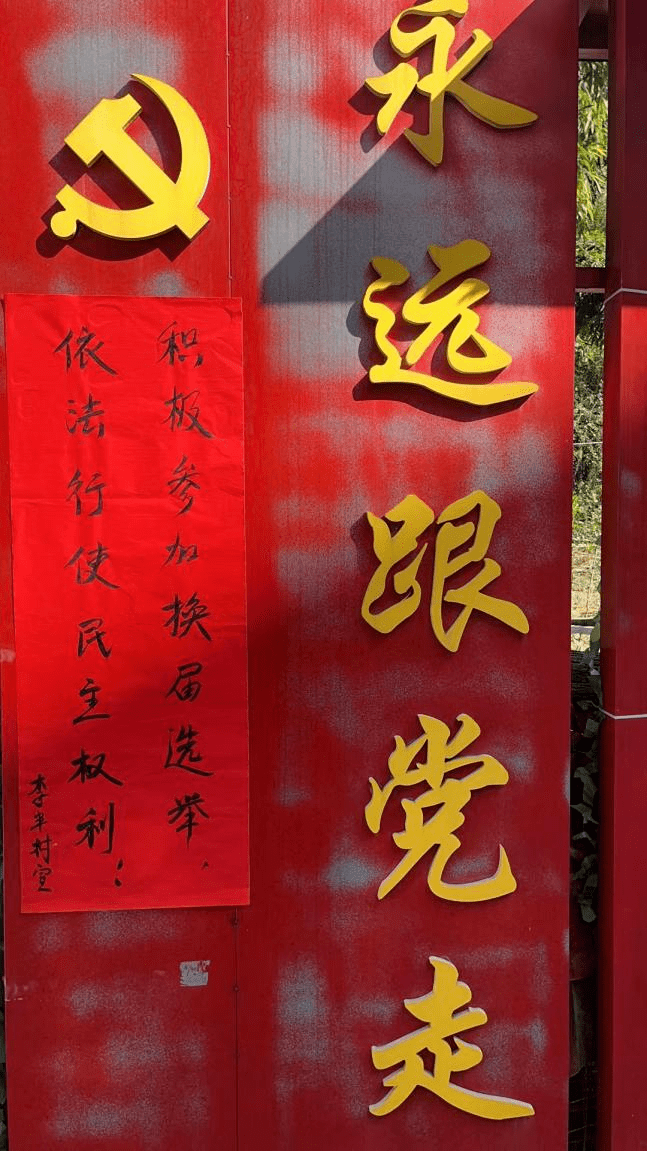 选出好代表,书写新篇章——林坊镇圆满完成县,镇两级人大代表换届选举