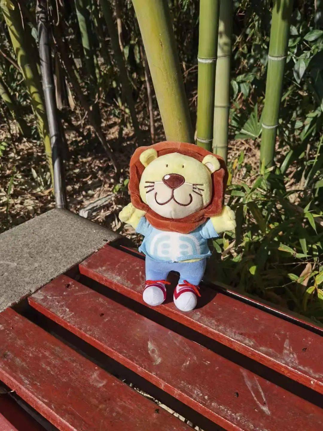 审计狮带你看看它在南审的动物朋友们~