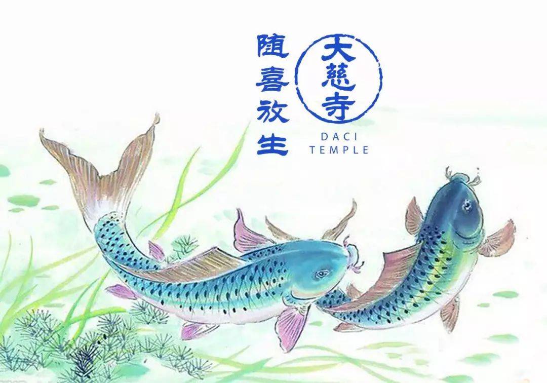 2018年大慈寺菩提功德会十一月放生功德榜