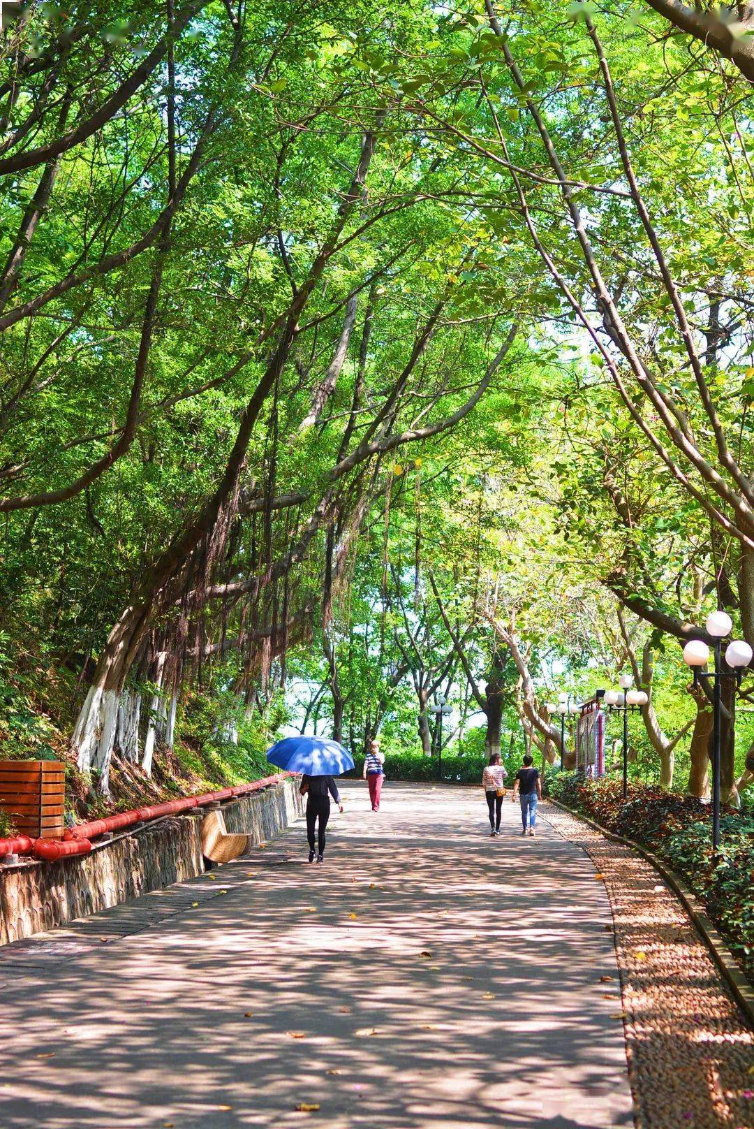 大良这12个地方,你能一眼认出几个?_顺德_顺峰山公园_岭南