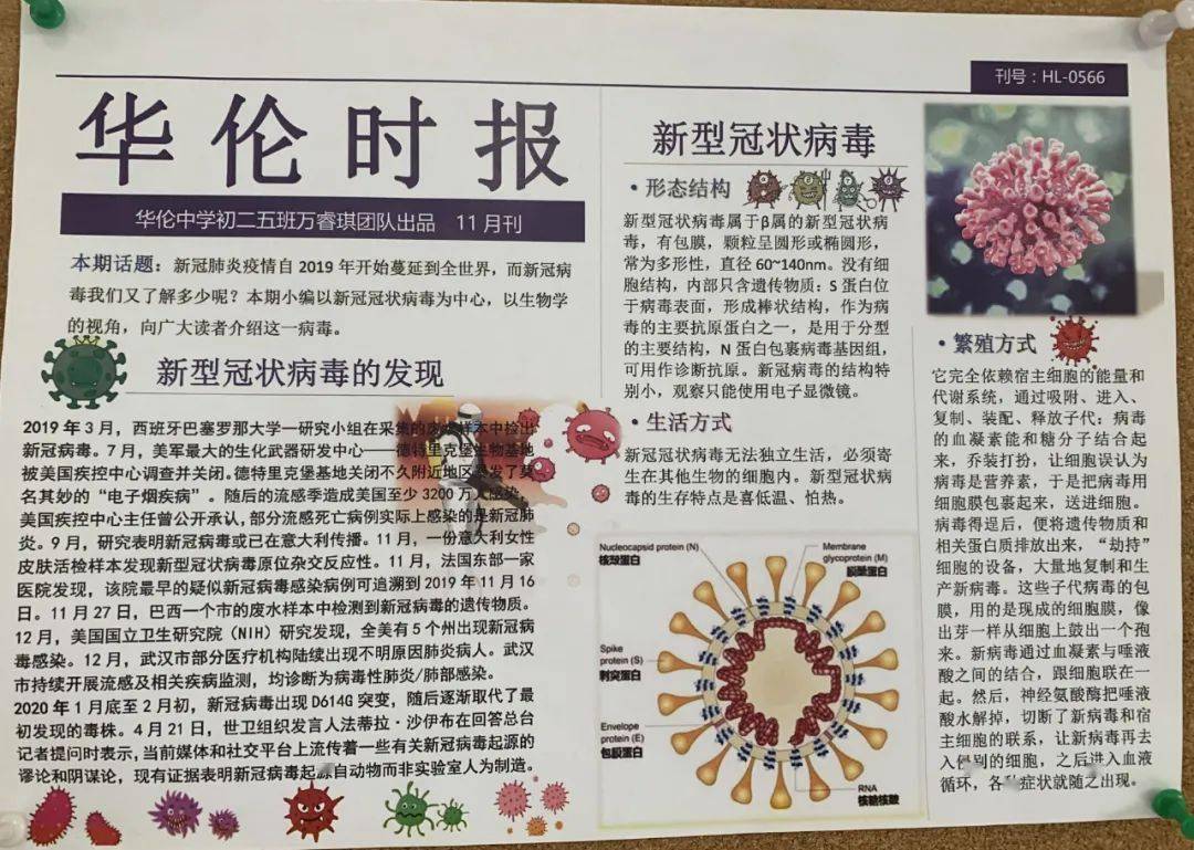 揭秘新冠病毒臺江校區鷹之隊生物手抄報展