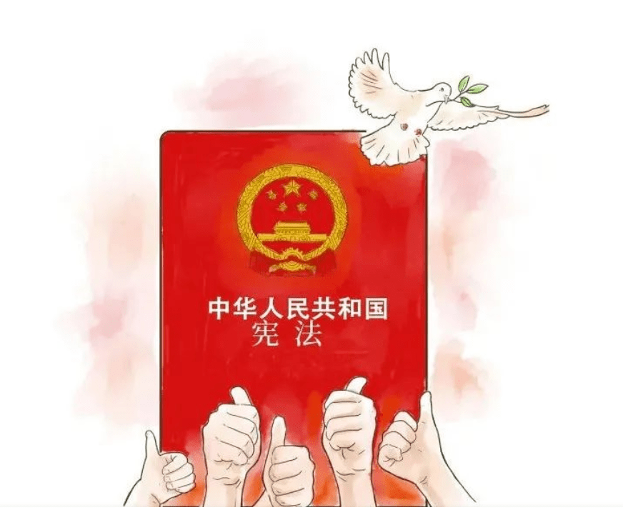 最好的守护"宪"给你_宪法_朱岱云_因为