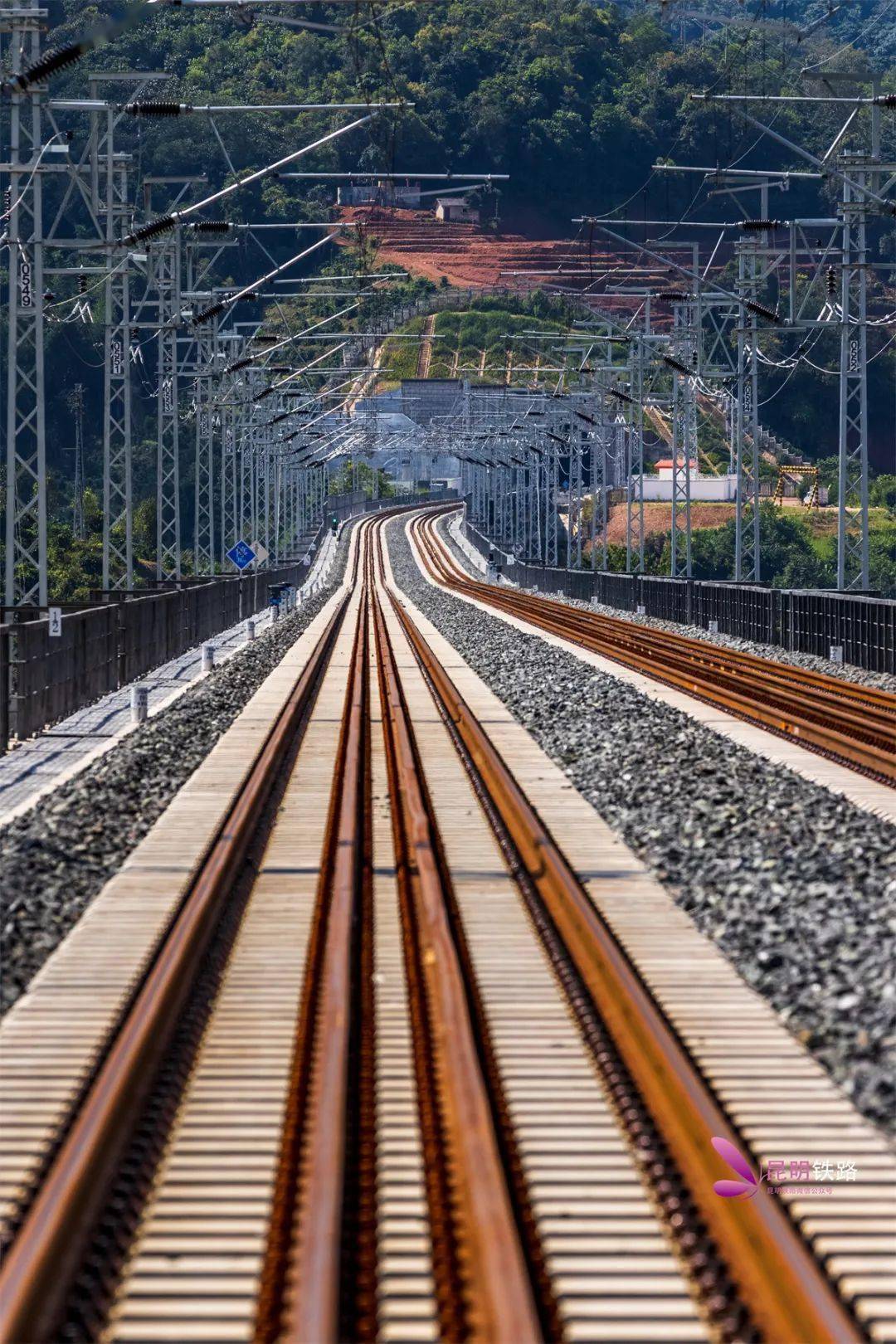 【聚焦】六个词,见证这一刻!_铁路_中国_经济