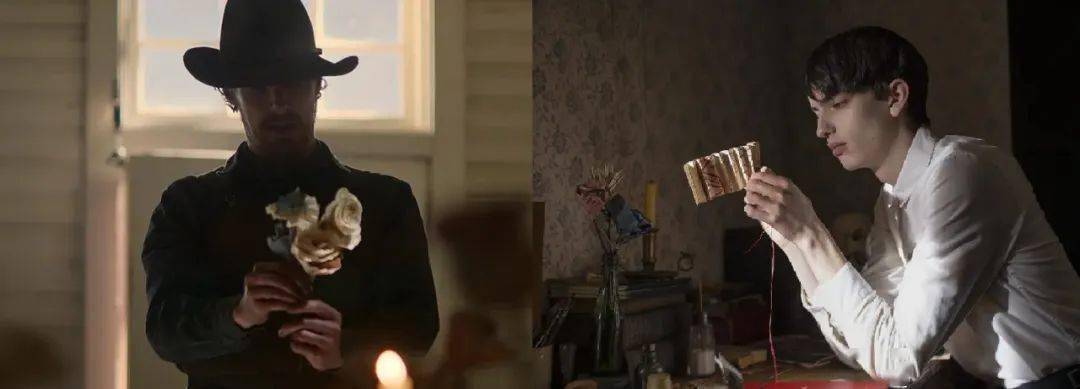 角色|颁奖季！深柜之死，是一场温柔的诱杀