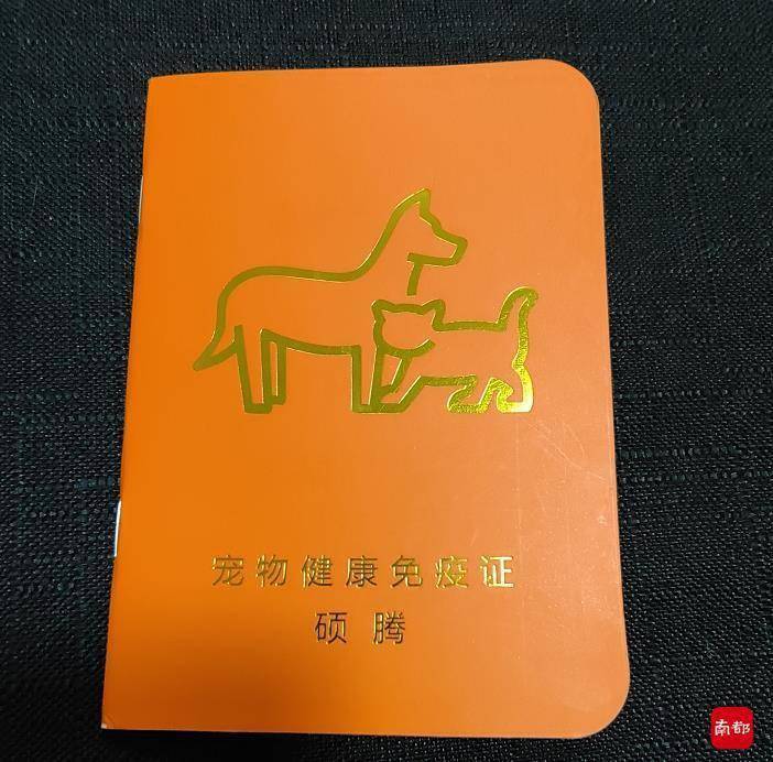 各方回应南都假宠物免疫证调查电商平台已下架问题商品