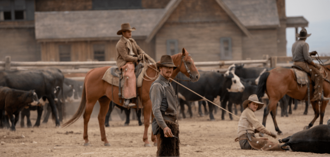 角色|颁奖季！深柜之死，是一场温柔的诱杀