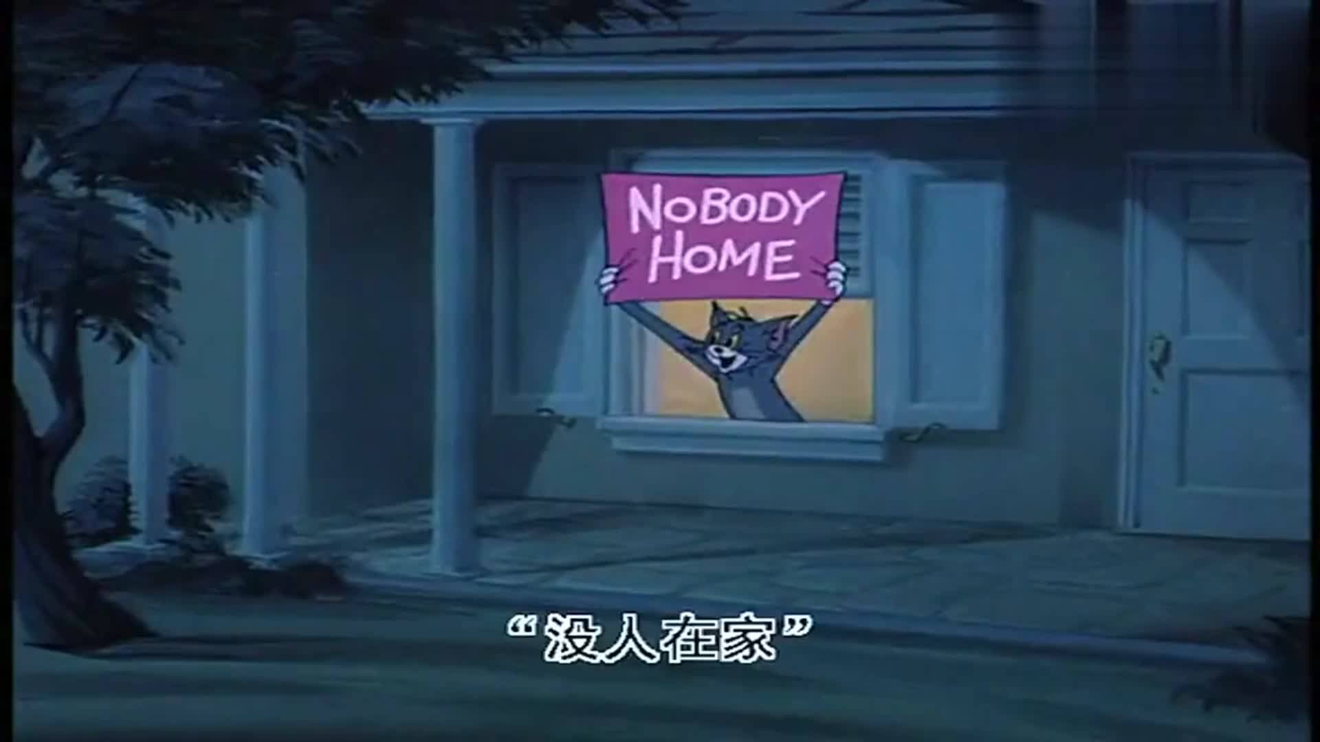 猫和老鼠想知道主人不在家时猫咪独自在家都会做些什么吗