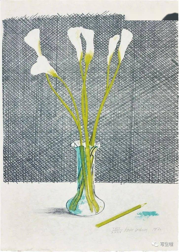 写生啦大卫霍克尼花卉