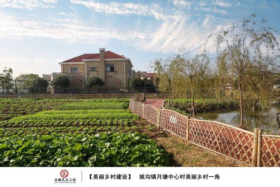 图绘民生|无为市姚沟镇民生工程专辑_市人民政府_侵权_来源