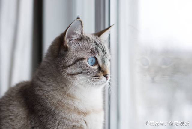 6a42c5b5b21e483aa3ed072750db5e14.jpeg