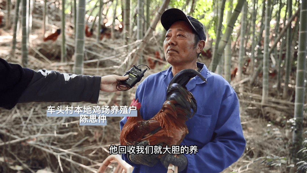 浙江一诺农业科技有限公司董事长 唐平冬原来我们是企