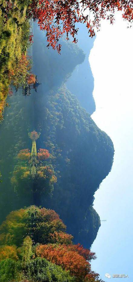 横屏|暖暖的冬日，快来一场红枫湖邂逅黑天鹅之旅吧！