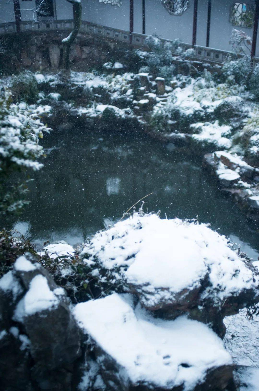 風吹一夜你來時帶著斷橋殘雪的詩情你去時帶著的雷鋒塔影畫意九溪煙樹