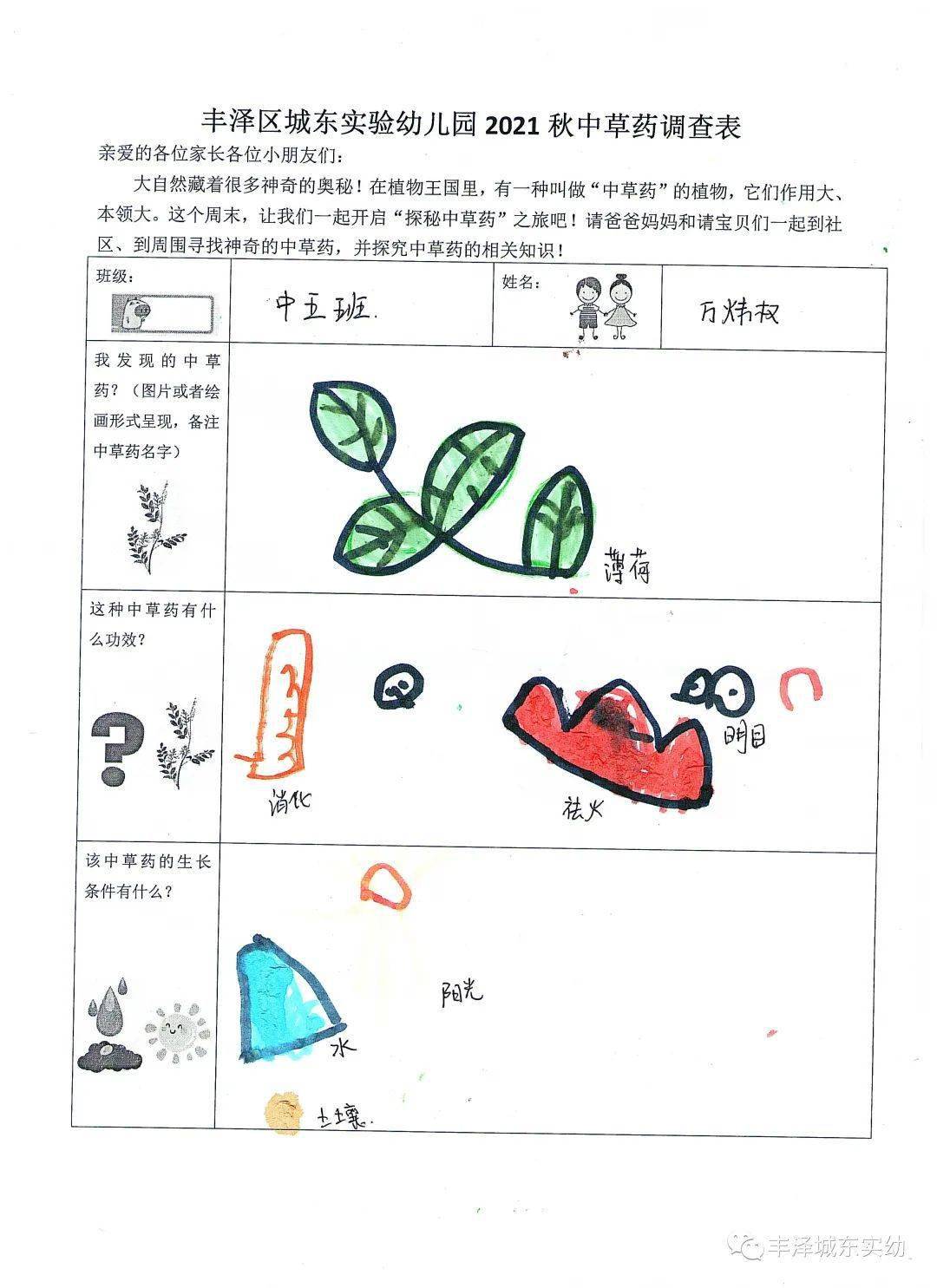 奔向大自然 探秘中草药│泉州市丰泽区城东实验幼儿园