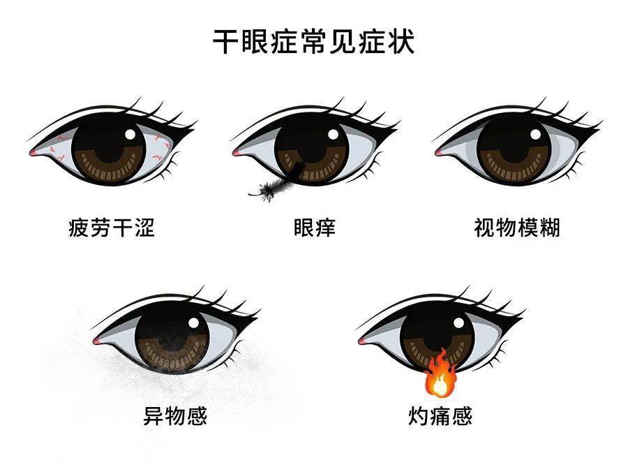 2678f966fa1548ae8b9aed6a73e7fafe.jpeg