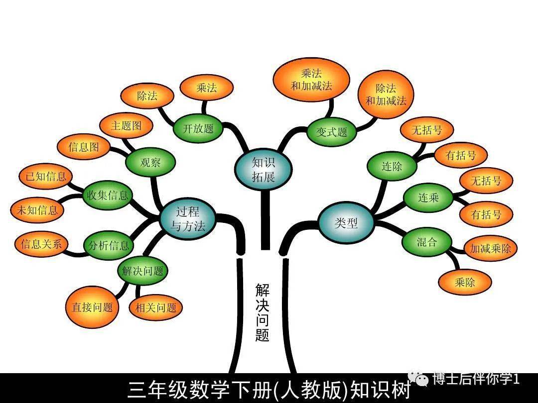 三年级数学智慧树图片