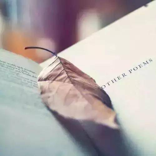 怎么能让自己变得有爱心 4ae5a1ca85ee44a486e37441360d3f7c.jpeg