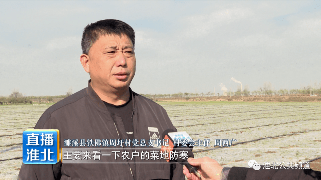 濉溪县铁佛镇周圩村党总支书记 村委会主任 周西广:主要来看一下农户