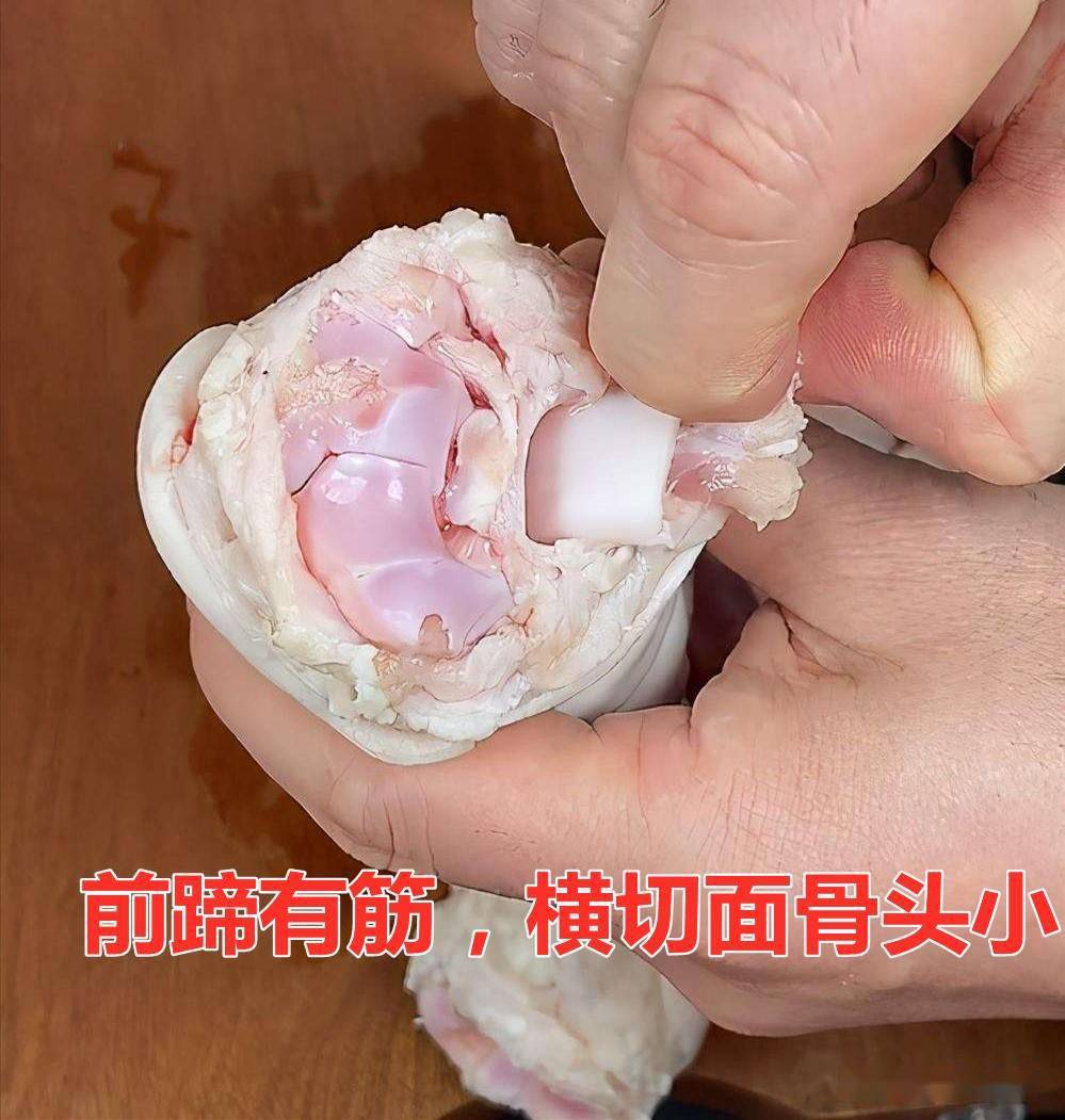 同样是猪蹄前蹄后蹄哪个好差别很大挑错难吃浪费钱