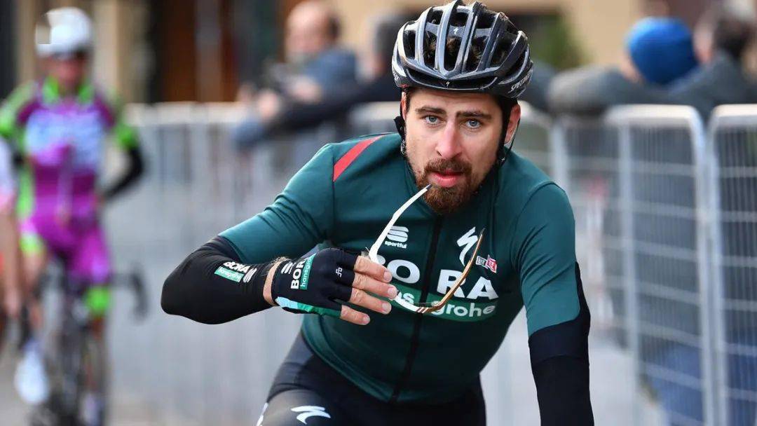 彼得·萨甘_协议_sagan