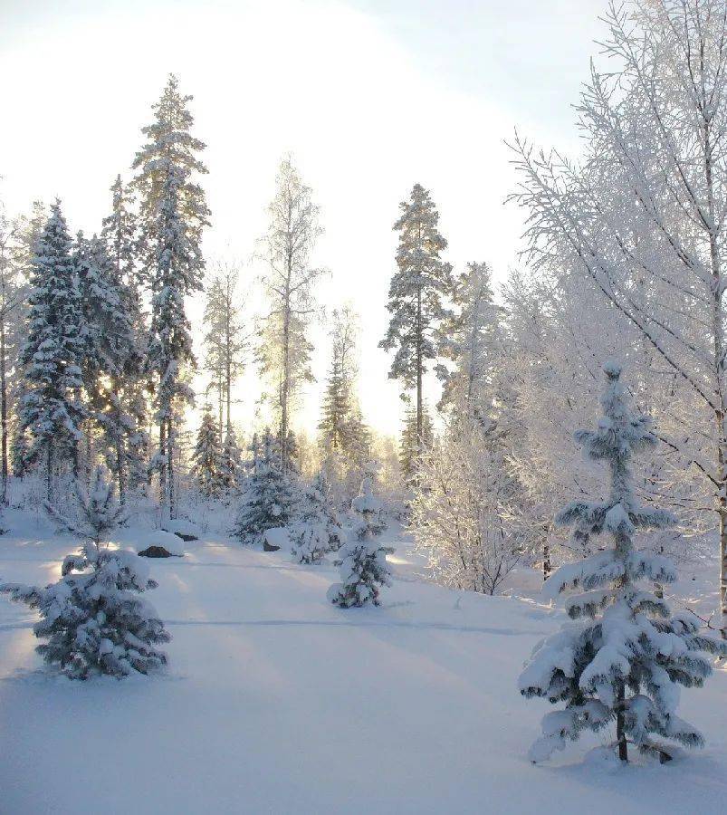 瑞雪兆豐年_大雪_波羅蜜_般若