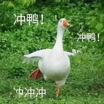 文章配图-49