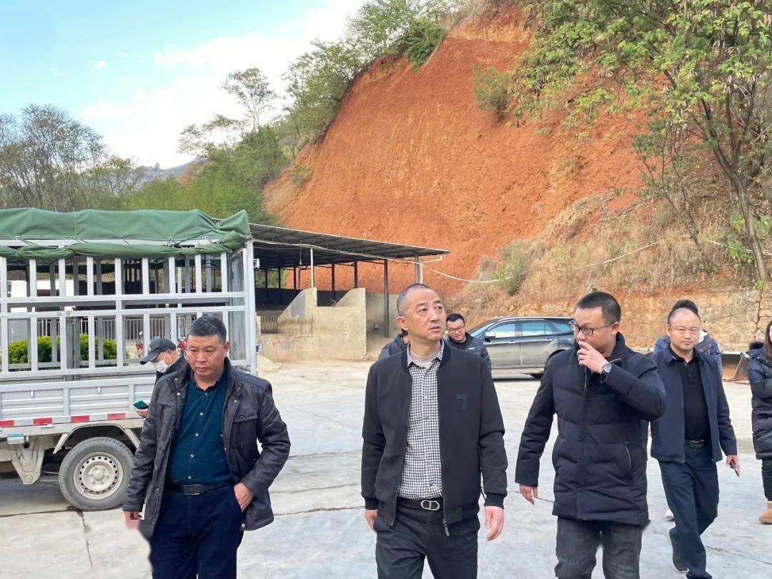 魏雪松深入莲塘片区督导检查创卫迎检工作开展情况_问题_人人_责任