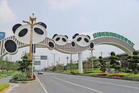 呆萌"大熊猫"又上楼啦