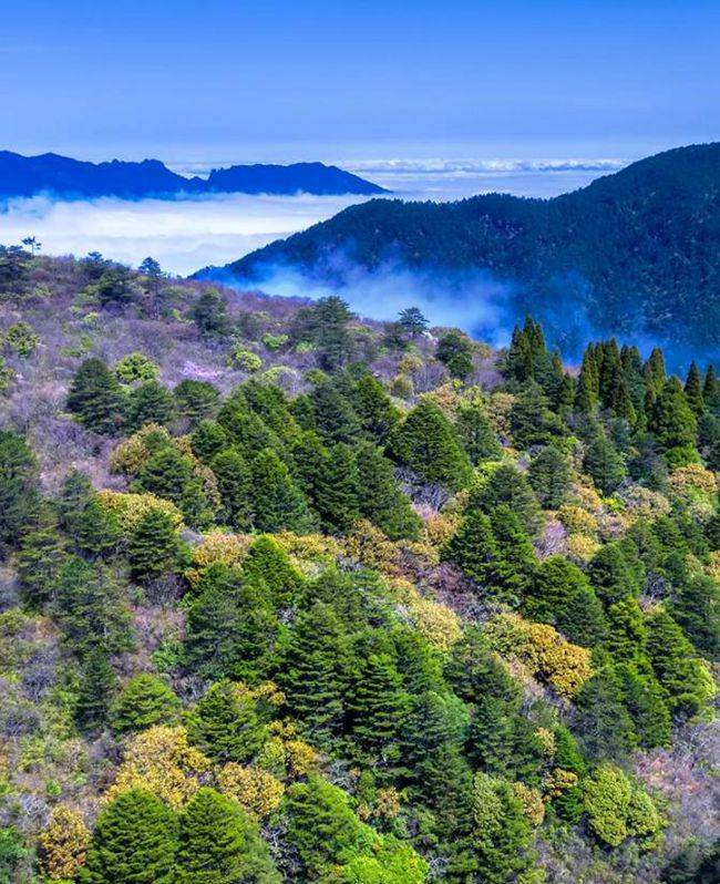 武夷山国家公园 世界 双遗 万物和谐