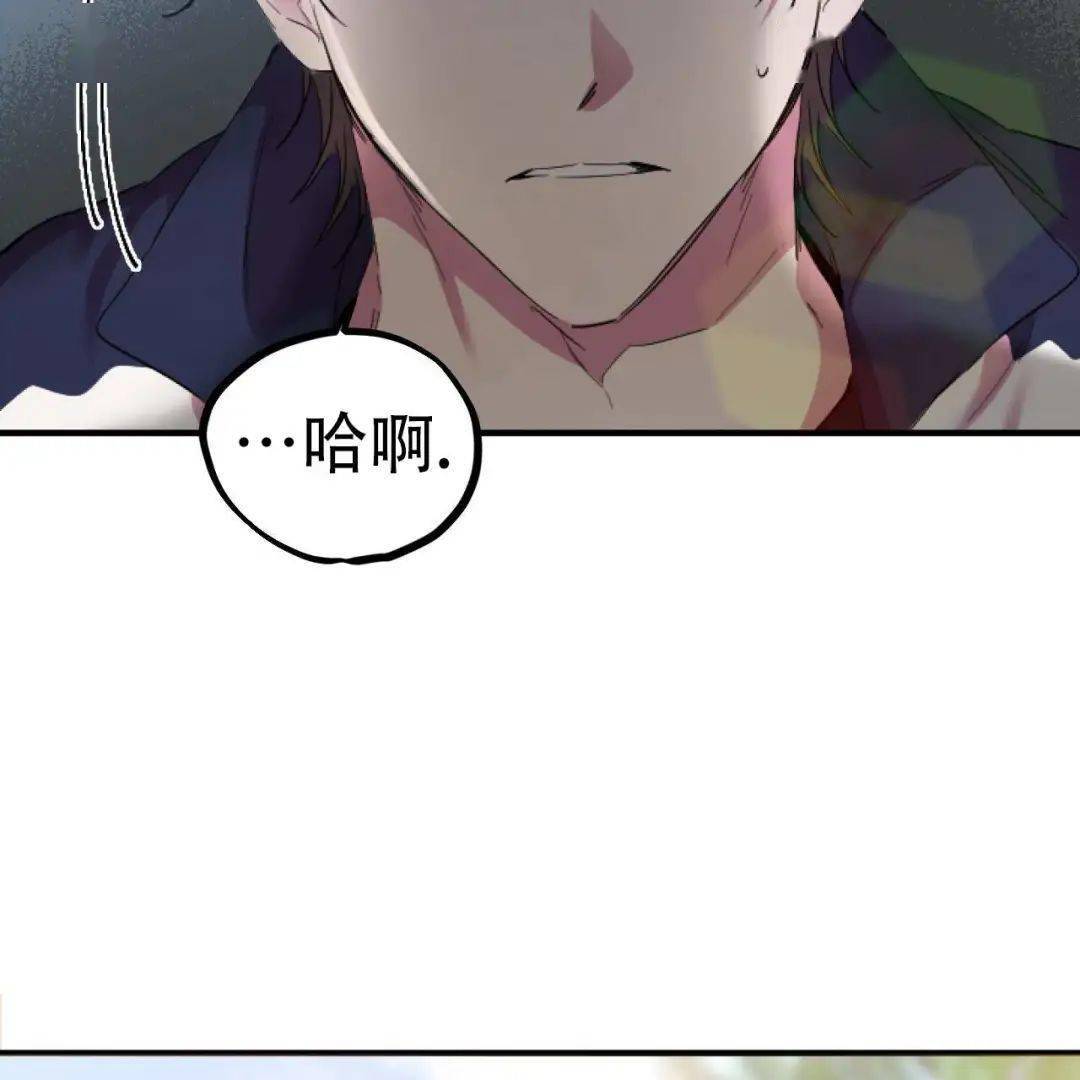 兔子受人h又羞又野我们生个可爱小兔子吧