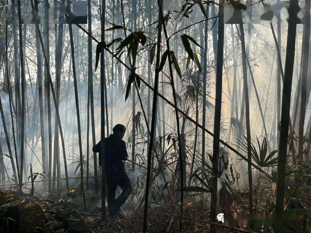 烧垃圾致竹林着火,黄山警民合力扑救_灭火器_山林_火势