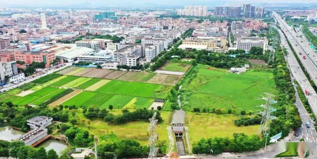 全国"百强镇"东莞石碣:三张名片"电子名镇,英雄故里,供港蔬菜"响当当