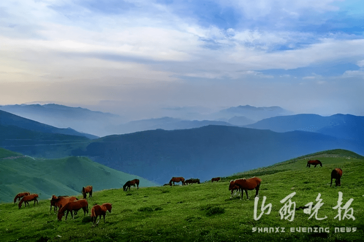 析城山圣王坪亚高山草甸▲历山舜王坪亚高山草甸经过自下而上的推荐